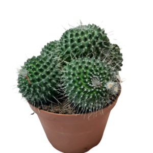 2103