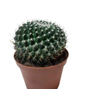 2102