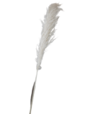 4325