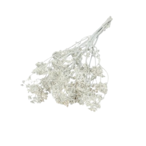 5838